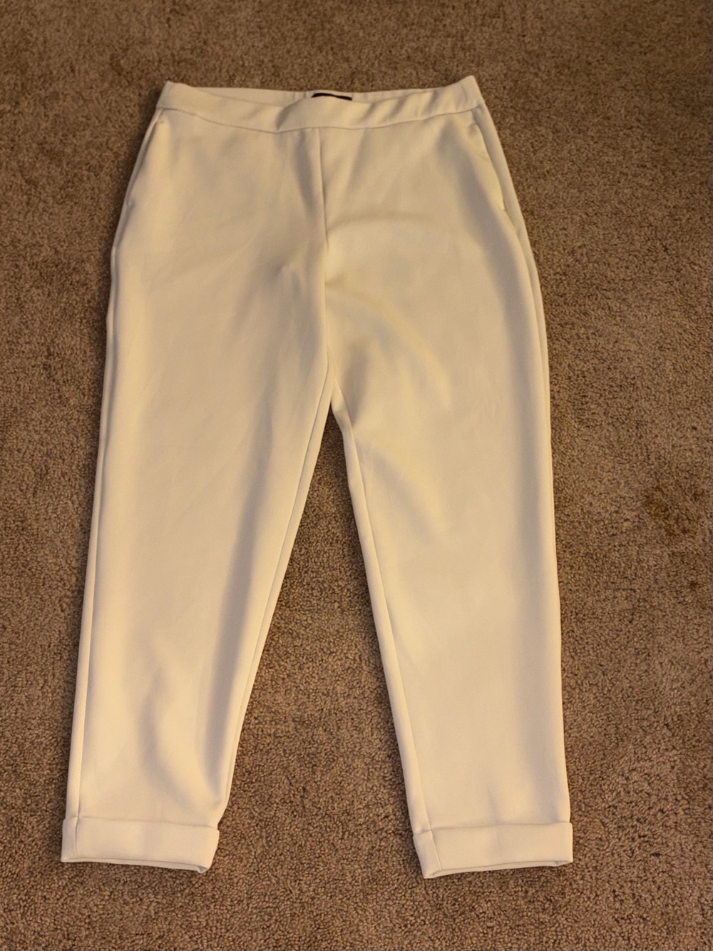 NWT Express Cropped Scuba Knit Pants in Stone